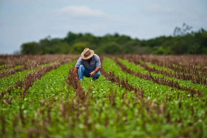 Día Mundial de la Agricultura