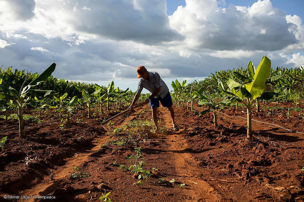 Las labores agrícolas enfrentan retos ante el problema del calentamiento global