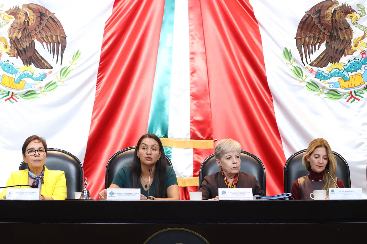Alicia Bárcena durante su comparecencia ante comisiones unidas de la Cámara de Diputados