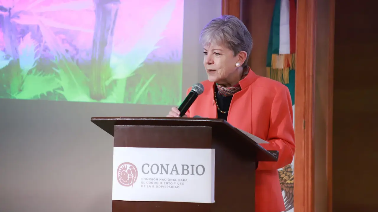 Alicia Bárcena Ibarra, secretaria de Medio Ambiente y Recursos Naturales, durante un acto público