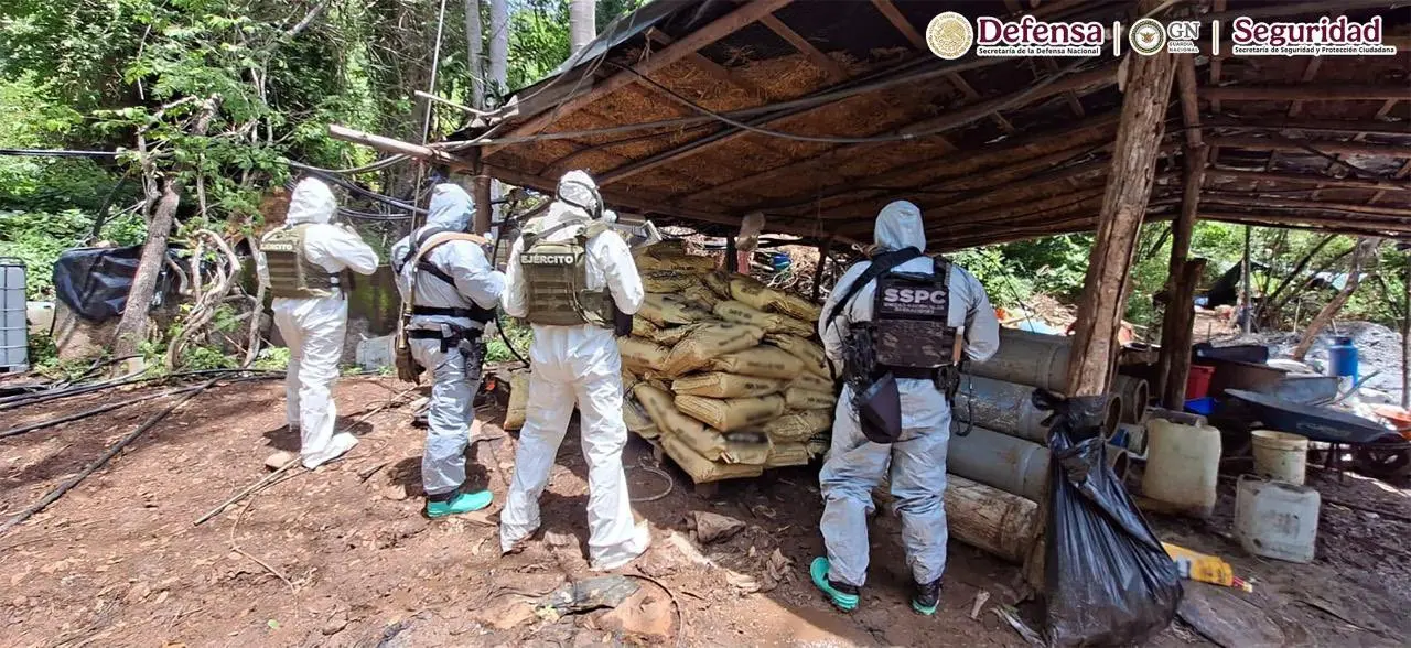 Autoridades desmantelan cuatro laboratorios clandestinos en Michoacán y Guerrero
