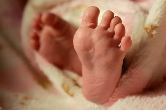 Personal médico del IMSS durante labores de atención hospitalaria en una unidad neonatal.