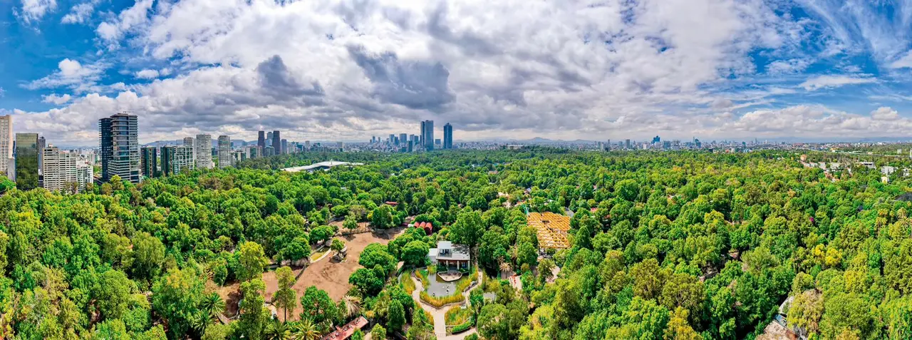 PAN anuncia amparos contra el Programa de Ordenación de la ZMVM  | FOTO X BOSQUE DE CHAPULTEPEC 