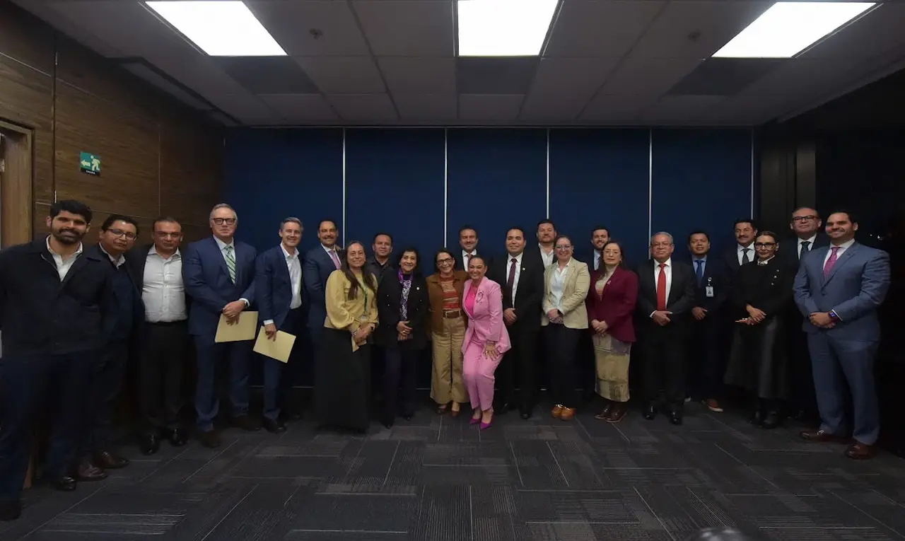 Emilia Esther Calleja Alor, directora general de la Comisión Federal de Electricidad, durante una reunión de trabajo en el Senado