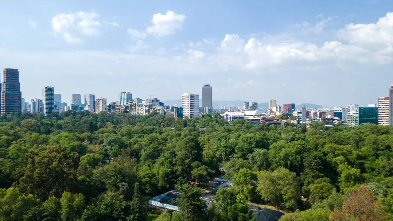 Clara Brugada descarta aumento al predial: “No se dejen engañar” | FOTO X BOSQUE DE CHAPULTEPEC 