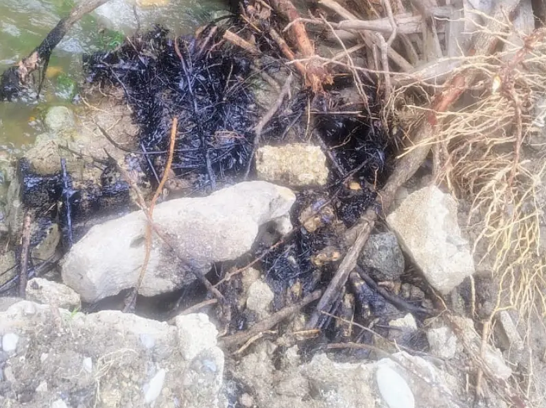 Derrame de hidrocarburos en Ciudad Madero afecta calles, lagunas y fauna
