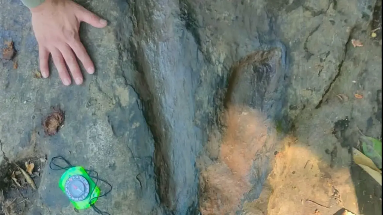 huellas de dinosaurios hallados en Michoacan