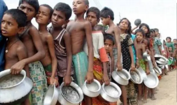 Imagen cortesía de la FAO