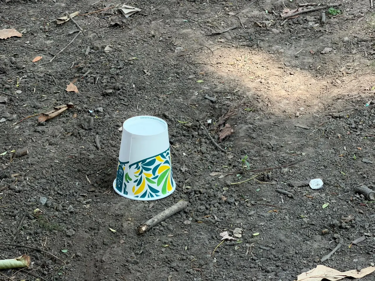 Fiscalía investiga presunto envenenamiento de perros en el Parque España | FOTO X @AlcCuauhtemocMx