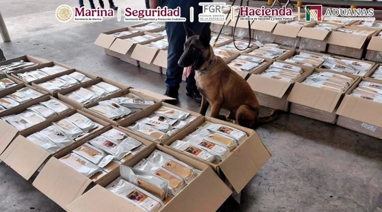 ¡Iba como café! Detectan más de una tonelada de presunta cocaína en el AICM