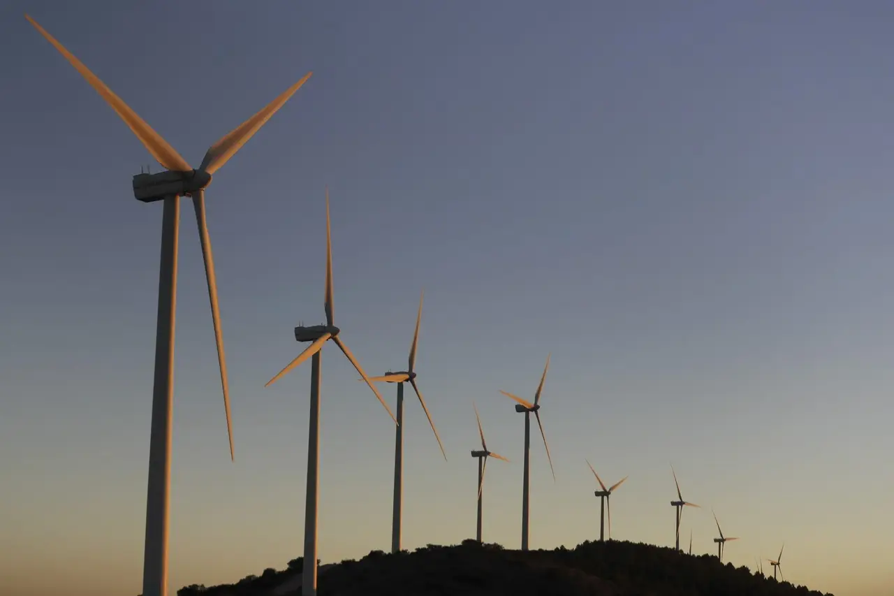 México está de regreso en la generación de energías renovables  | FOTO EFE 