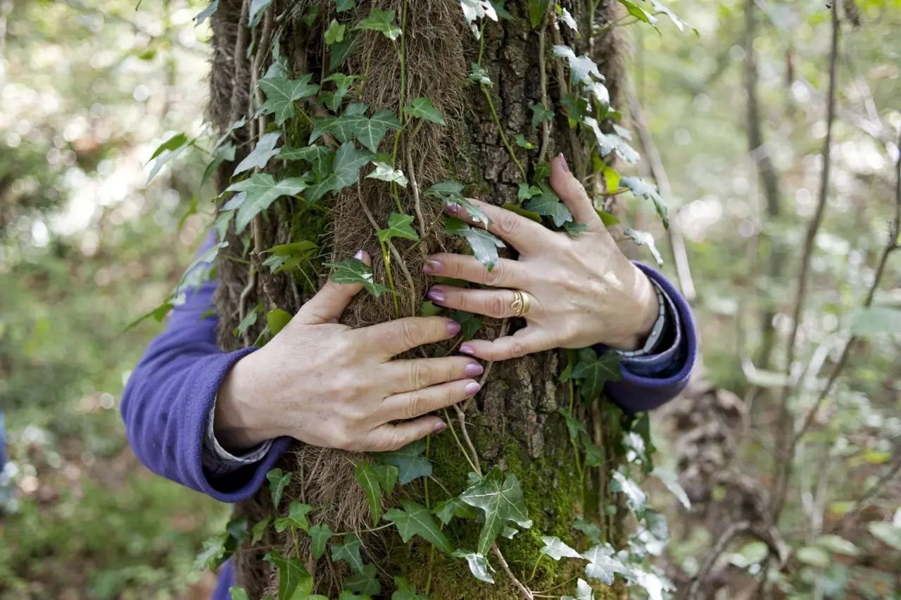 México va por una nueva ley ambiental | FOTO EFE VERDE 