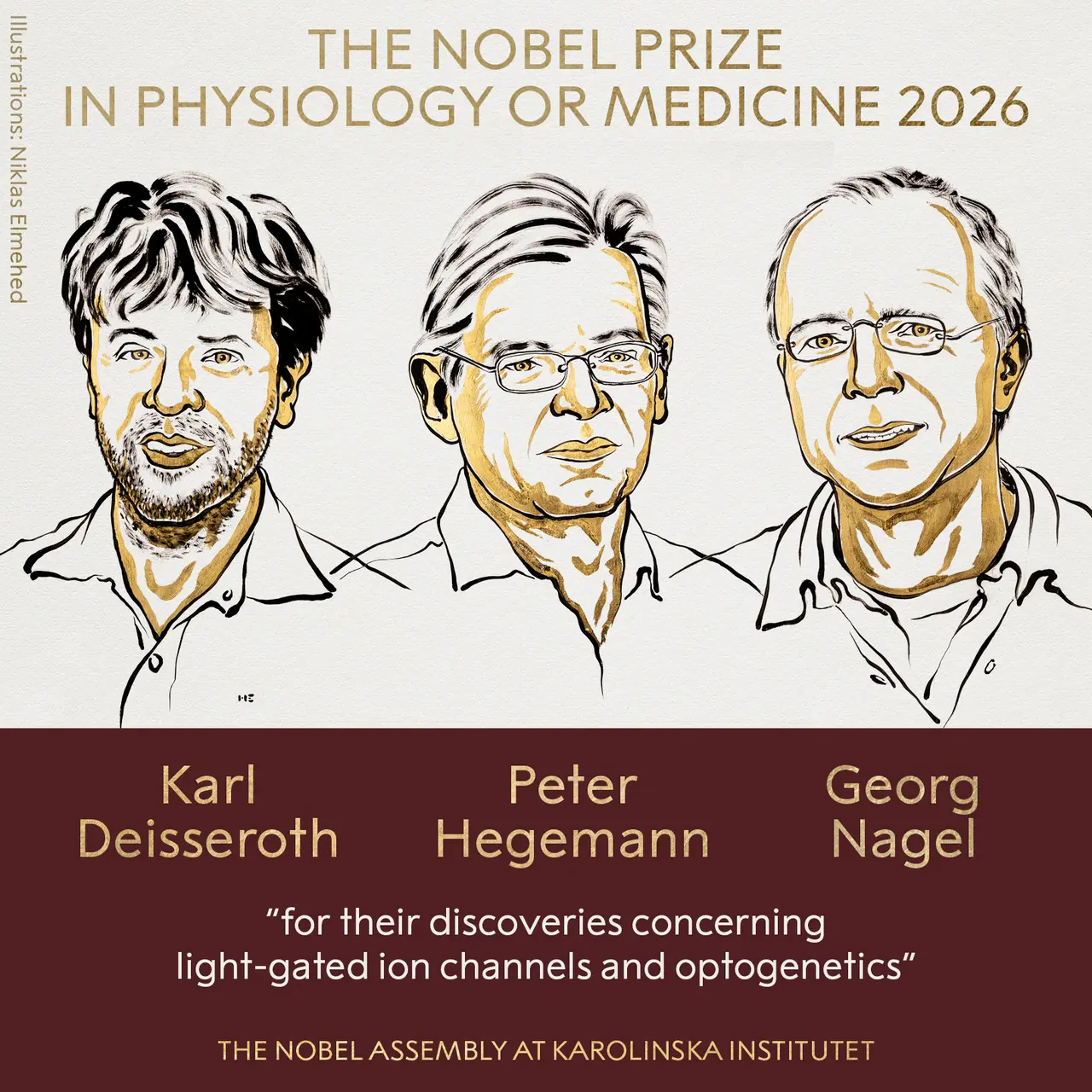 Karl Deisseroth, Peter Hegemann y Georg Nagel, pioneros de la optogenética