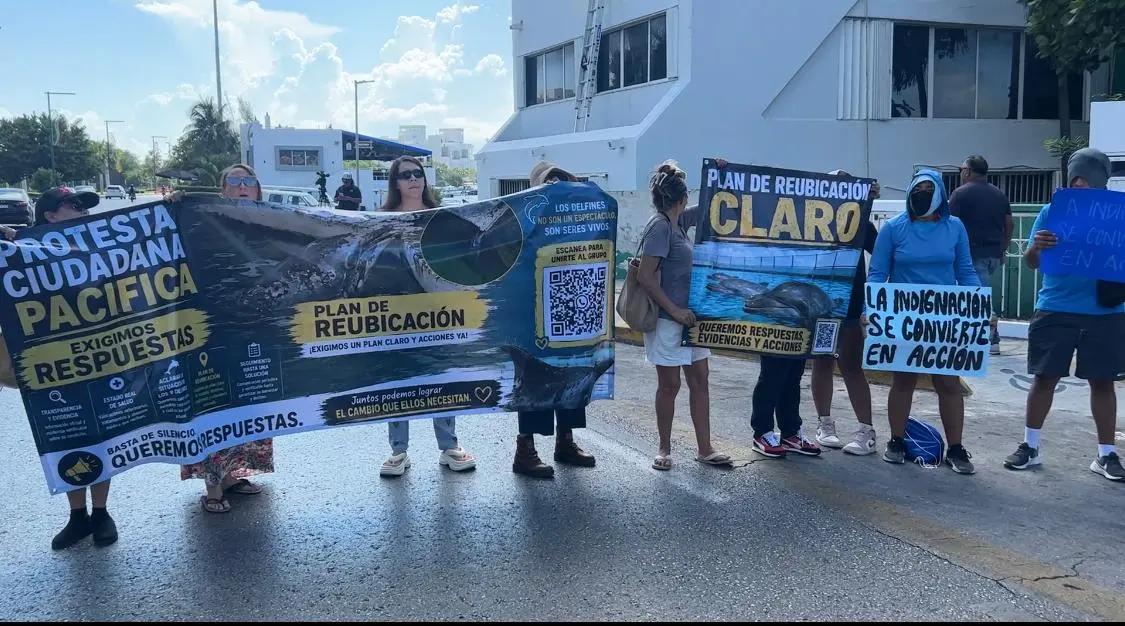 Ciudadanos protestan en Cancún para exigir la reubicación de nueve delfines