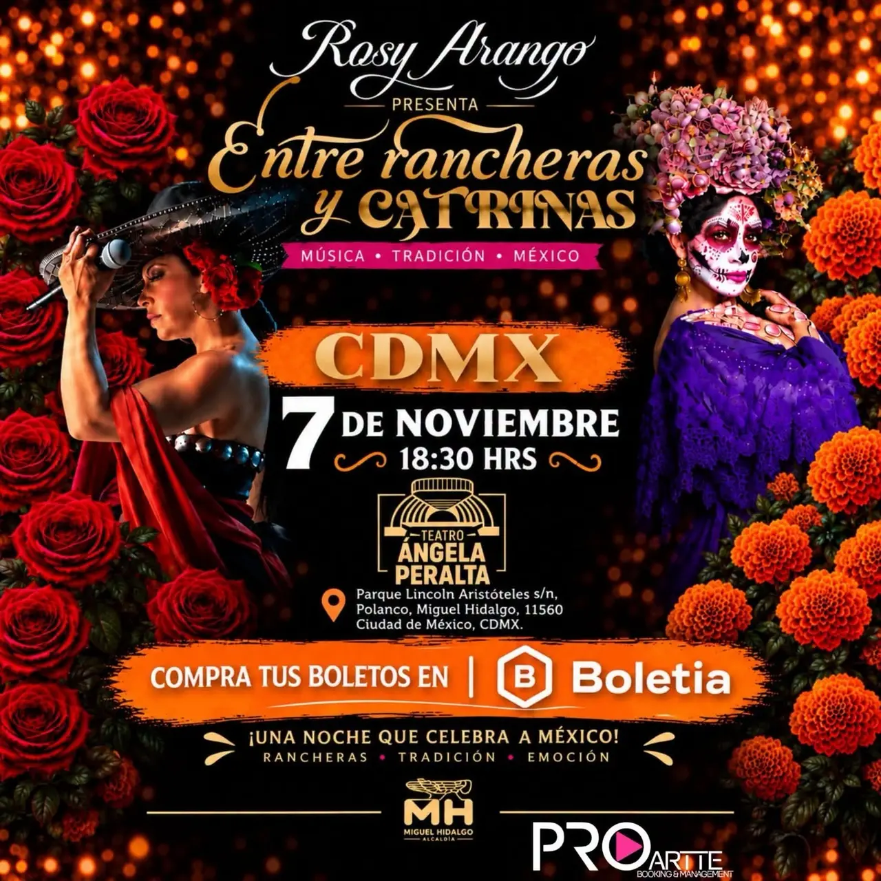 Espectáculo diario de muertos Rosy Arango 